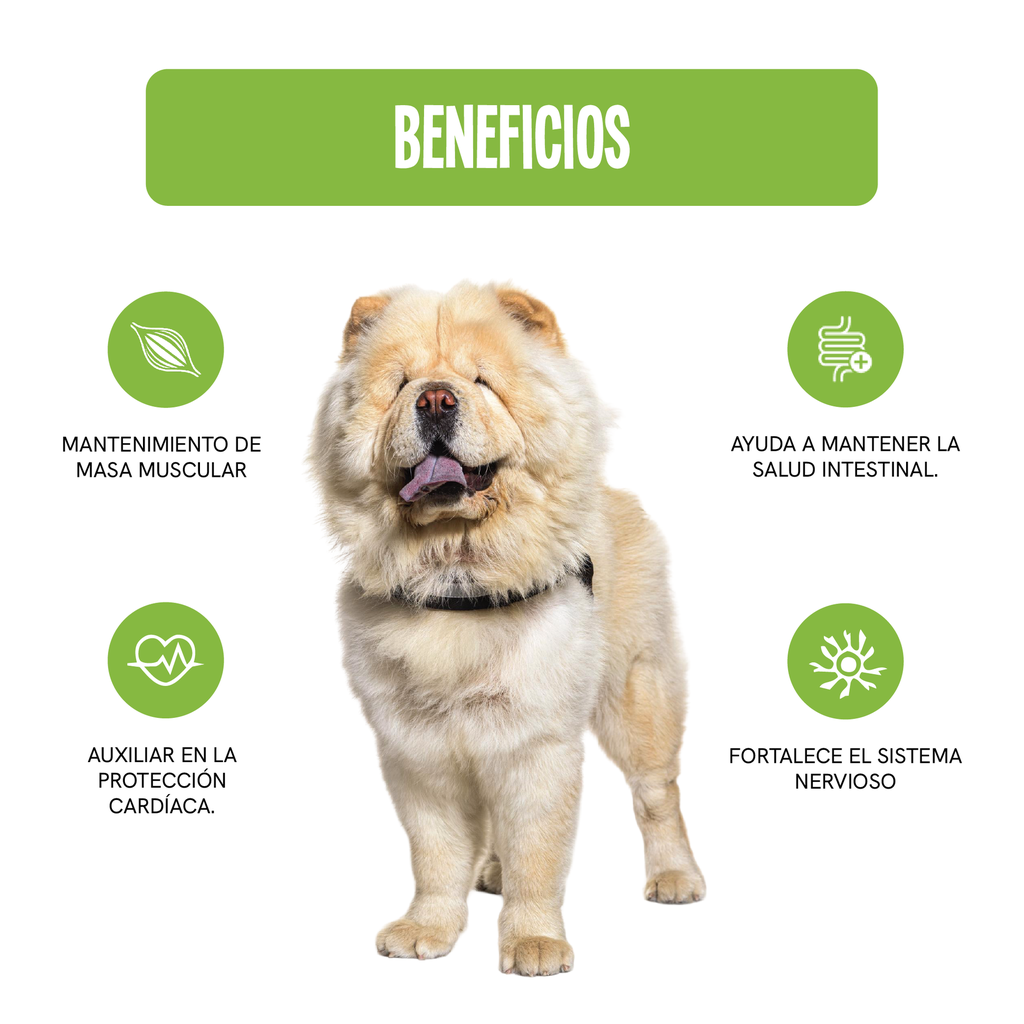 Fichas Tecnicas Productos-74.webp