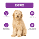 Fichas Tecnicas Productos-101.webp