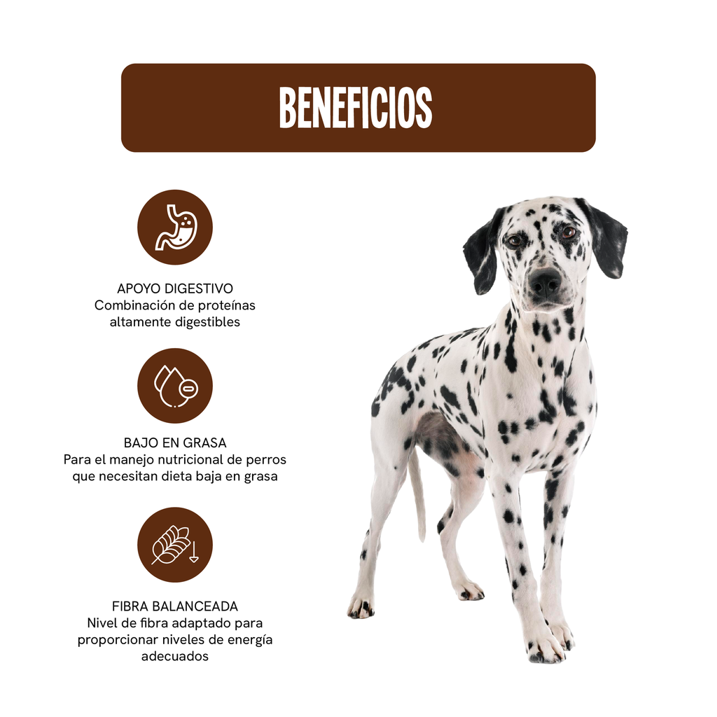 RCVET-HM-GI-LF-390G_2.webp