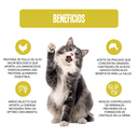 Fichas Tecnicas Productos-36.webp