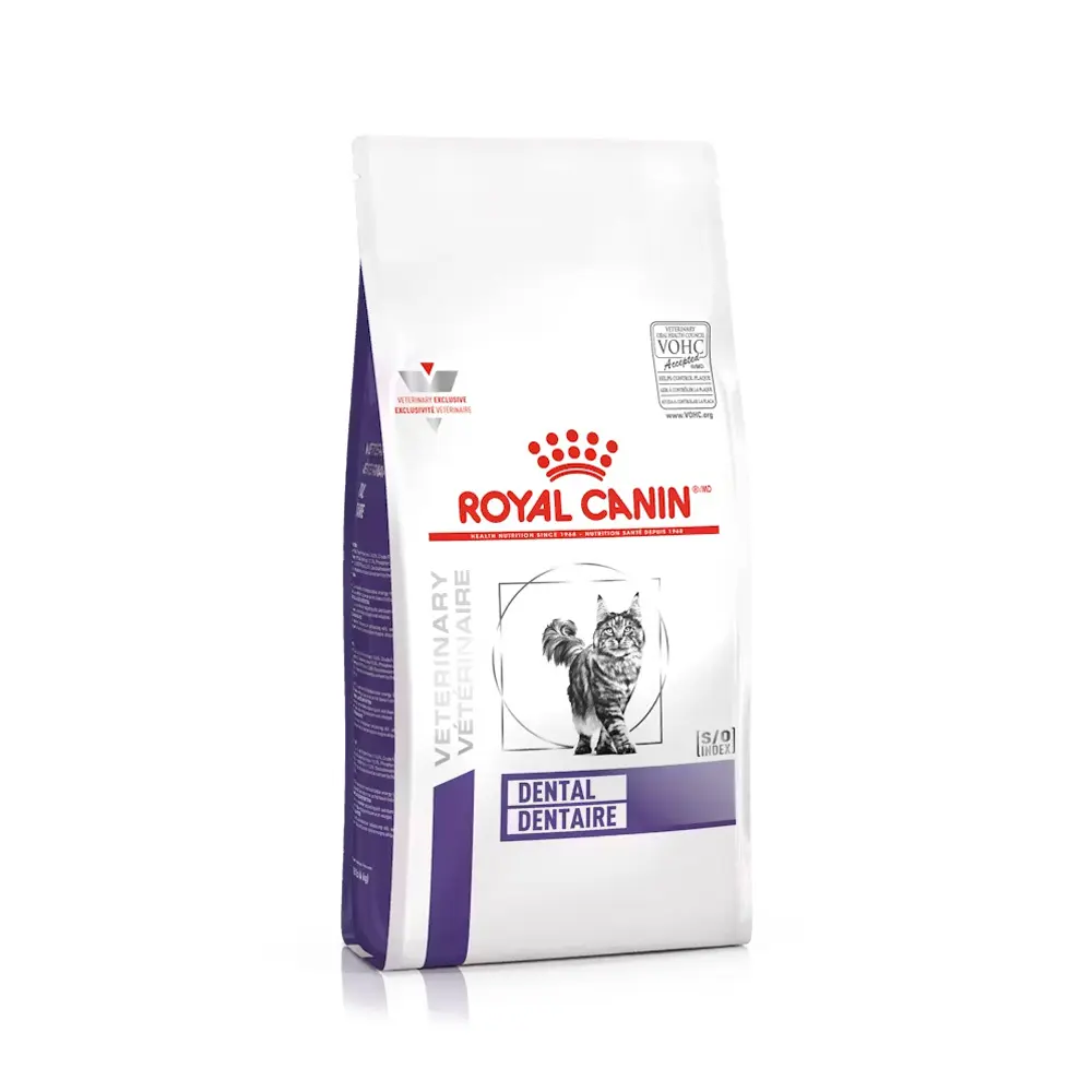 Royal Canin Prescripcion Alimento Seco Dental para Gato Adulto 8 kg